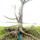 Image for article titled Gullah-Geechee Community: Hear Us On Climate Change